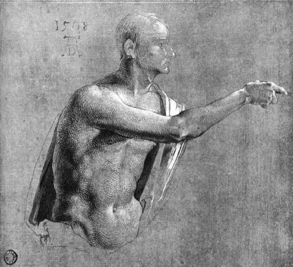 Albrecht Durer Male Nude oil painting image